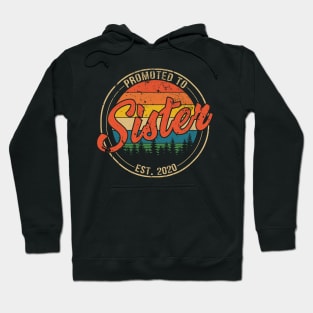 Promoted to Sister Est 2020 Mothers Day Gift Hoodie